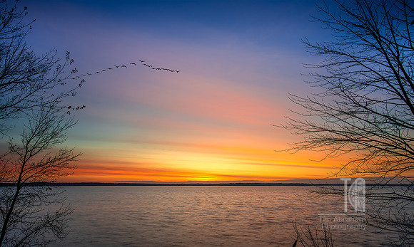 TLA_7254-HDR-Edit-Edit-Edit
