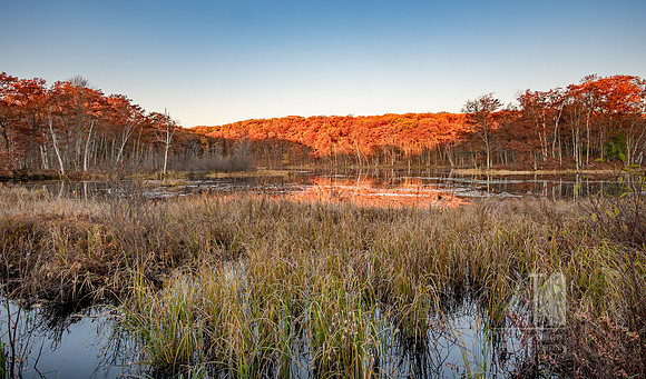 TLA_6358-HDR-Edit