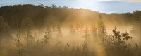 TLA_7000-Pano-denoise
