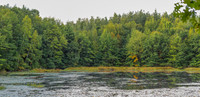 TLA_7016-Pano-Edit-Edit-2