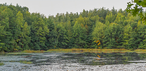 TLA_7016-Pano-Edit-Edit-2
