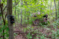 TLA_7066-Edit