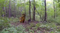 Mike Tim Bear hunt Facebook size