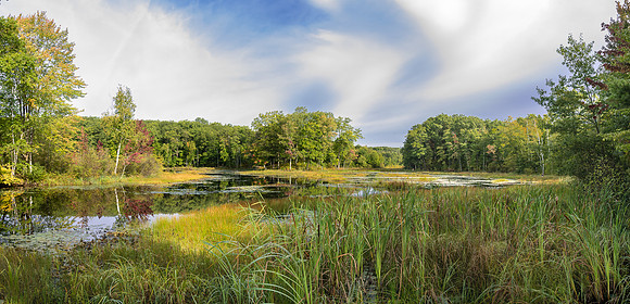TLA_7114-Pano-Edit