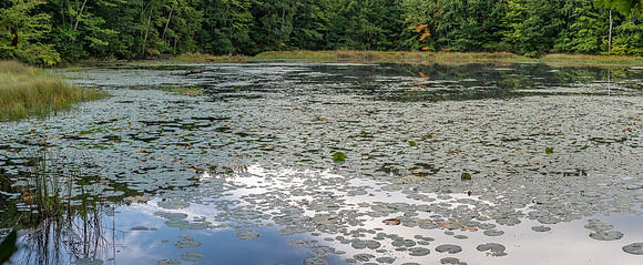 TLA_7021-Pano