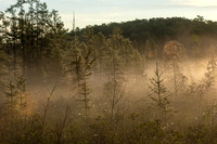 TLA_6994-Edit