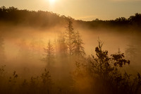 TLA_6989-Edit