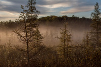 TLA_6992-Edit
