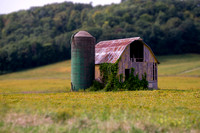 TA BARNS-08