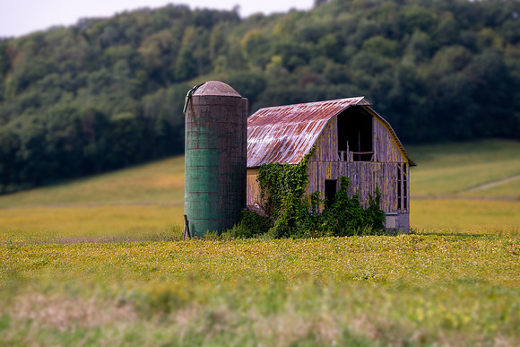 TA BARNS-08
