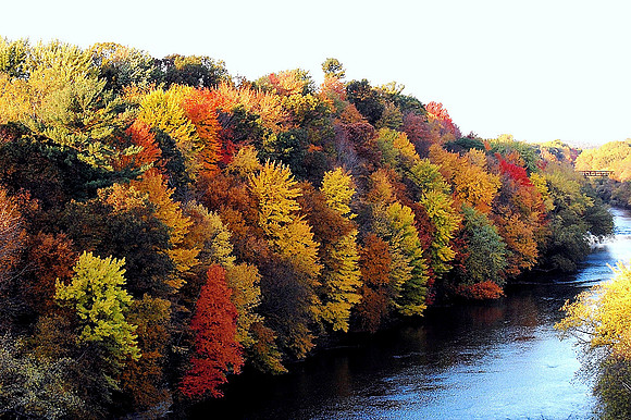 TA FALL-04