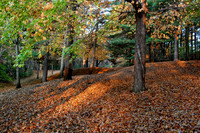 TA FALL-05