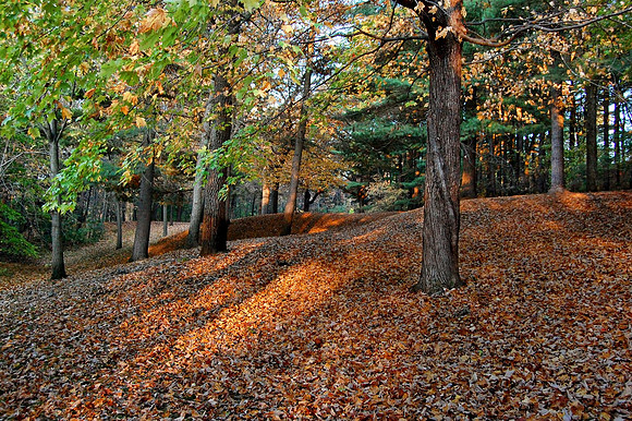 TA FALL-05