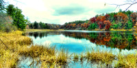 TA FALL-07