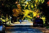 TA FALL-10