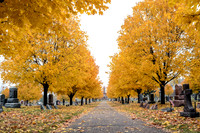 TA FALL-15