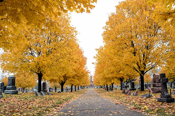 TA FALL-15