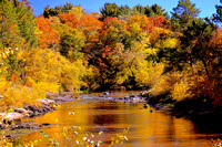 TA FALL-09