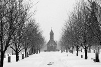 winter