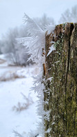 TA WINTERz-08