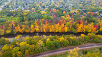 Fall leaves