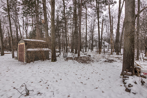 19 - Backyard-09