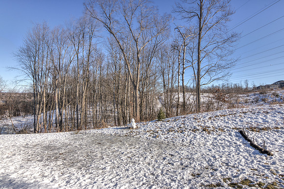 19 - Backyard-02