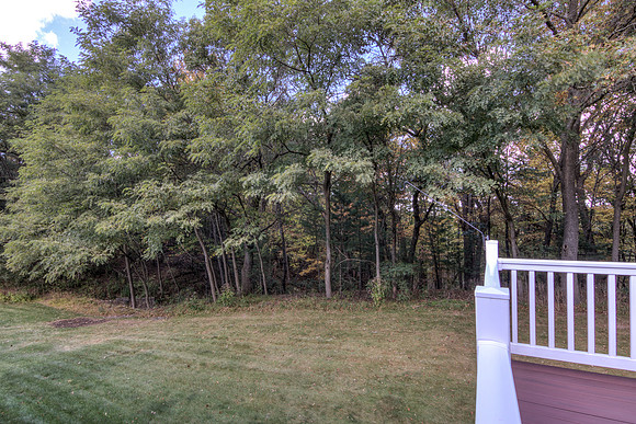 19 - Backyard-05