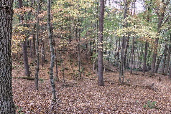 19 - Backyard-11