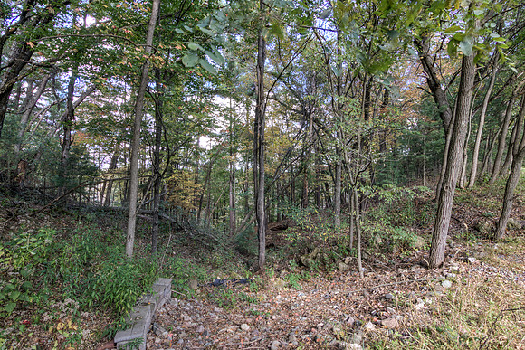 19 - Backyard-15