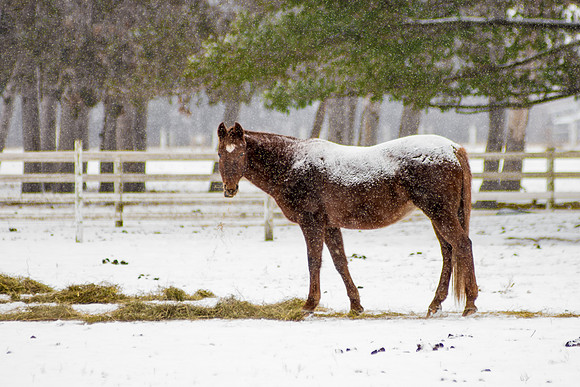 fb-DSC_5366