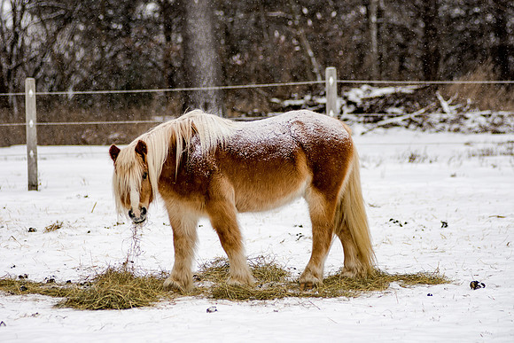 fb-DSC_5330