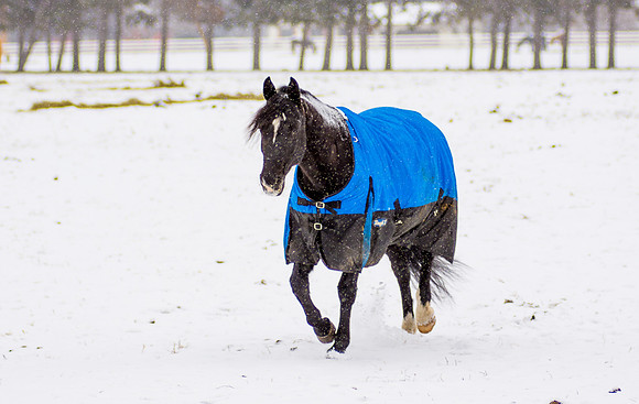 fb-DSC_5293