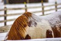 DSC_5281-Edit