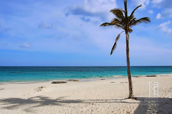 Photo-a-Day. Day 5. Elbow Beach, Bermuda