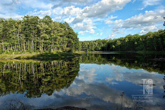 Photo-a-Day. Day 16.  One of my happy places. (2009)