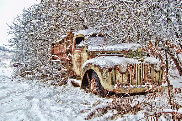 Photo-a-Day. Day 24. Just park it over by the trees.... (December 2011)