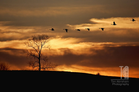 Photo-a-Day. Day 17. Evening Rush Hour (2009)