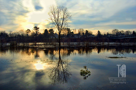 Day 31. Time for the annual Owen Park Spring Flooding.