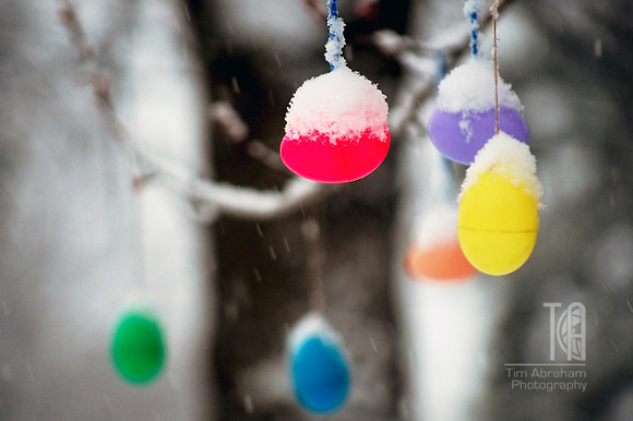 Day 43. An Easter week treat. SNOW!