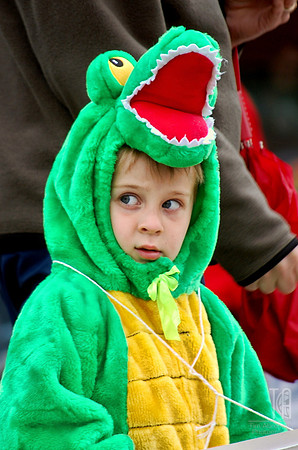 Day 67. Lots 'o critters at the Doll and Pet Parade.