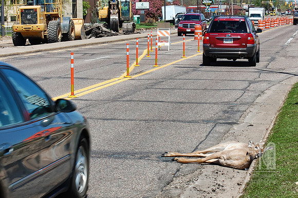 Day 70. Never, never, never, never play in a construction zone!