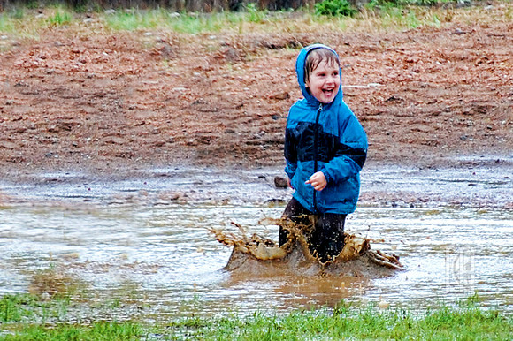 Day 74. Pure Joy.