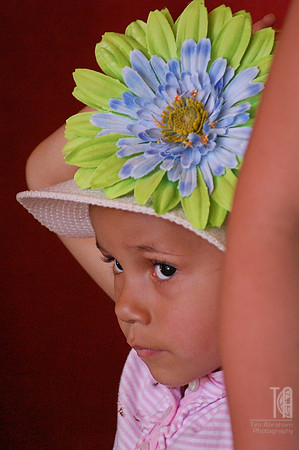 Day 88. Someone got a new hat.