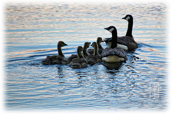 Day 93. Just a nice day out with the whole family.