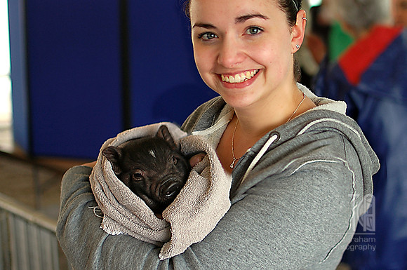 Day 94. We have a hedgehog and two sugar gliders. Now the girls want a pot bellied pig..