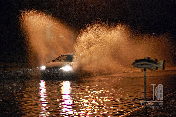 Day 102. Epic rain this evening turned Starr Avenue into a lake fit for a fish.