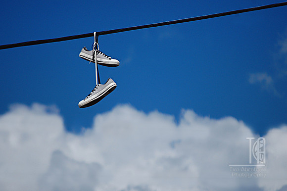 Day 116. Hey, have any of you guys seen my shoes?  Um, nope...not us.