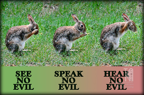 Day 139.  Good rules to follow...even in the human world.