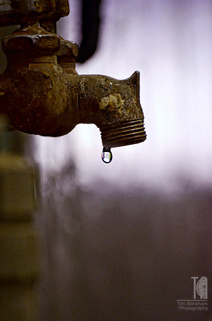Day 166.  A drip here, a drop there...pretty soon it adds up.